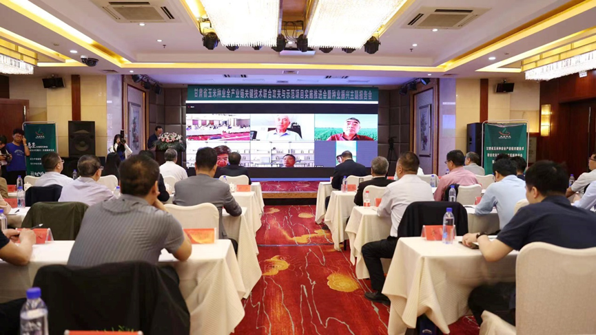 “三抓三促”進行時 | 敦煌種業(yè)牽頭：“甘肅省玉米種業(yè)全產業(yè)鏈關鍵技術聯(lián)合攻關與示范”項目實施推進會暨種業(yè)振興主題報告會召開